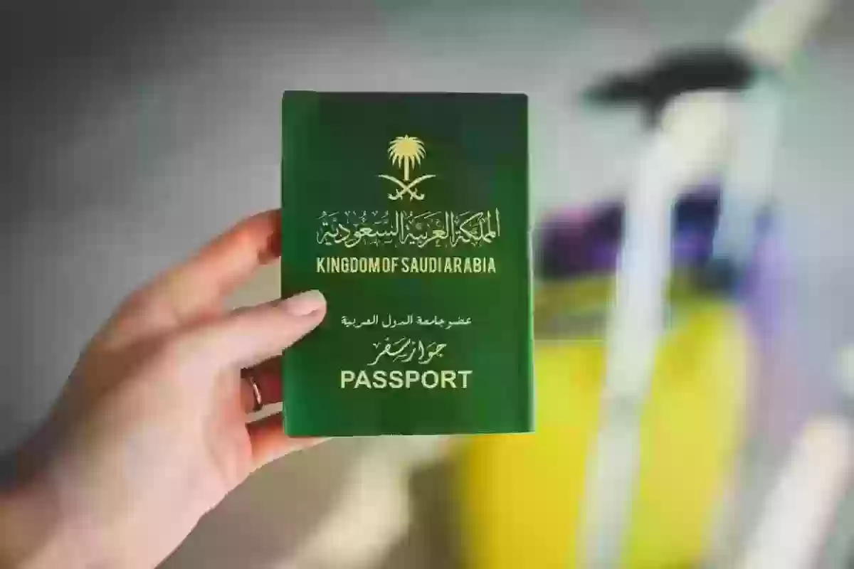 لجميع الجنسيات | طريقة الاستعلام عن حالة تأشيرة برقم الجواز – إنجاز