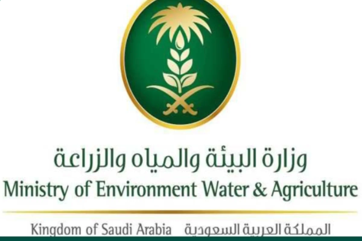 البيئة السعودية